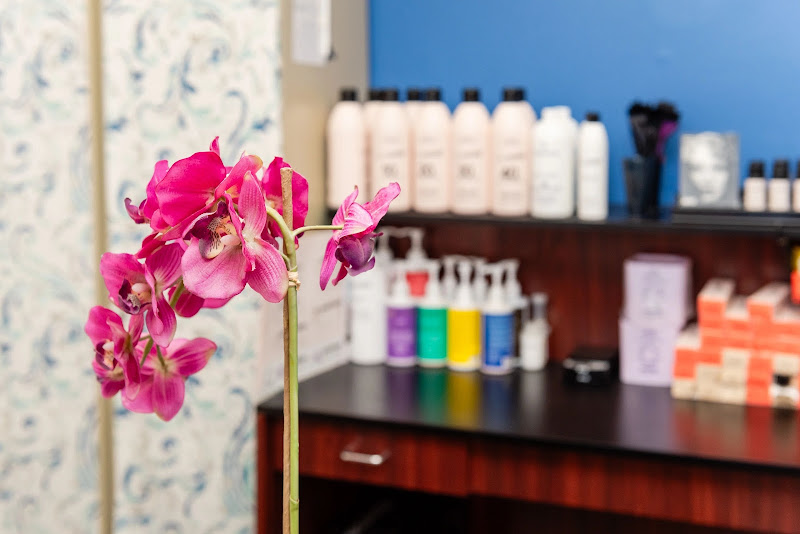 HWI Salon 2