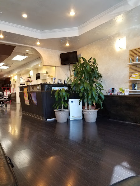Fox Hair Salon 2