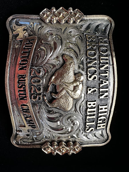 Molly's Custom Silver 2