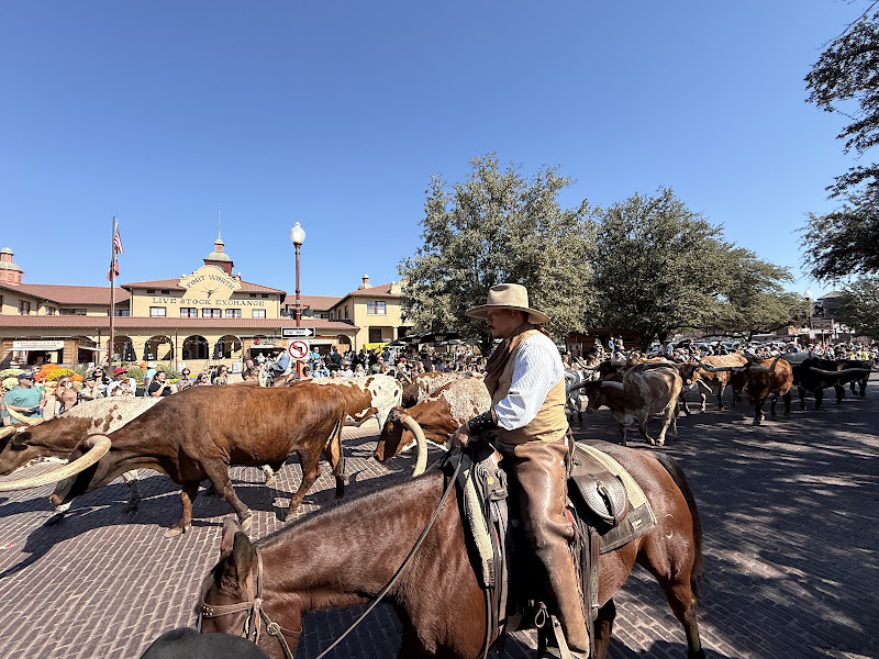 달라스여행사(Texas Tour)