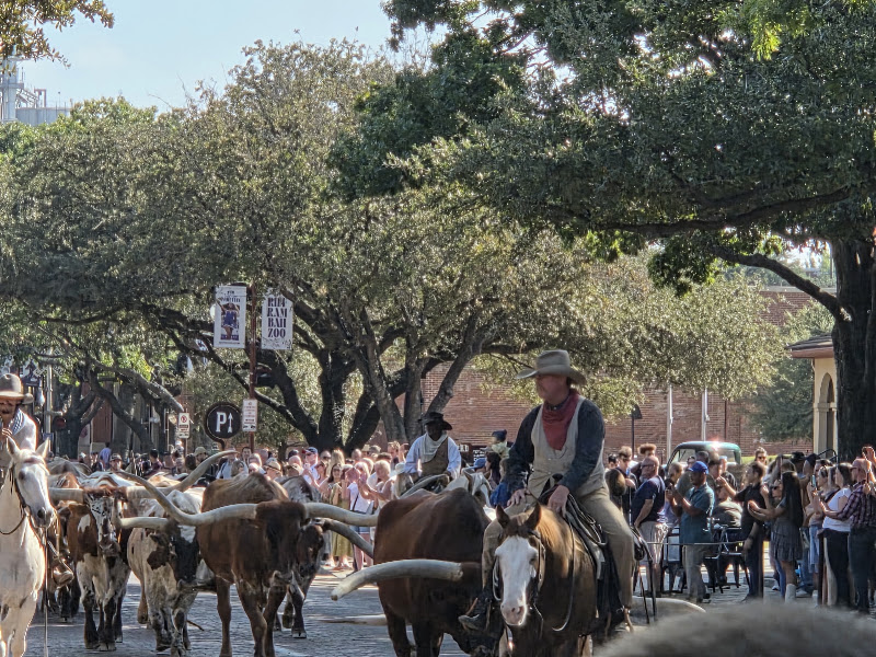 달라스여행사(Texas Tour) 4