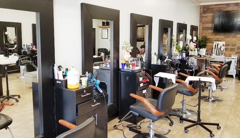 QT Salon 2