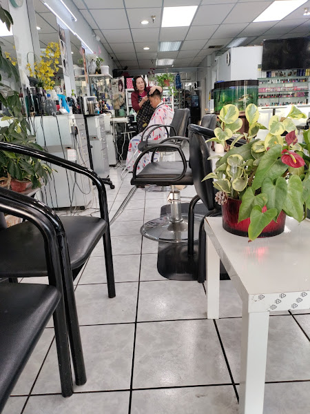 Hai Beauty Salon 2