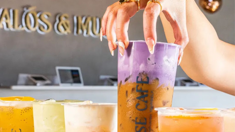 Muse Cafe 2