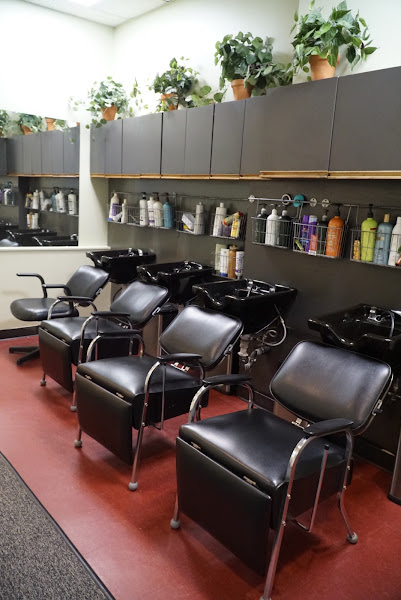 Salon FX 3