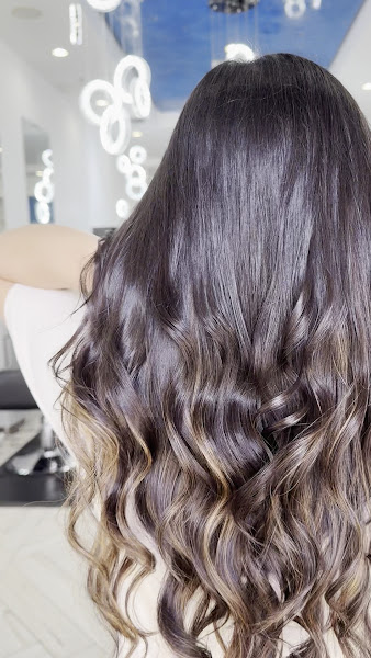 Halo Salon 2