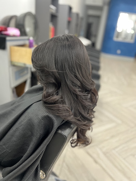 Halo Salon 3
