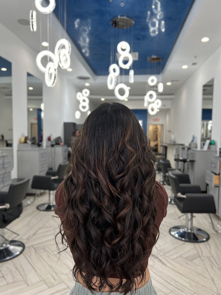Halo Salon 4