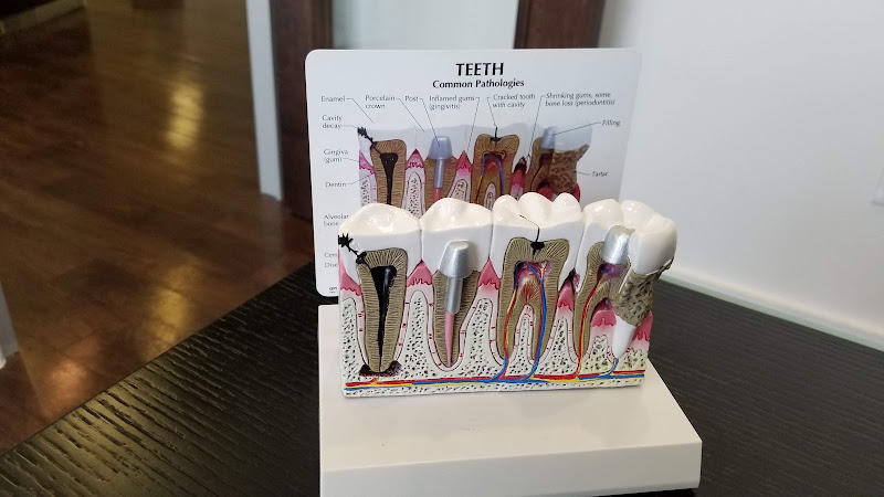 Brick Row Dentistry 3