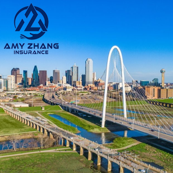 Amy Zhang Insurance