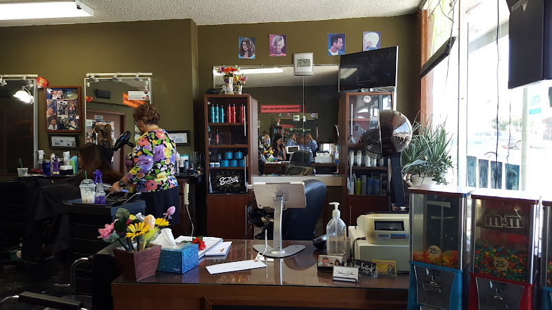 Rose's Hair Design 2