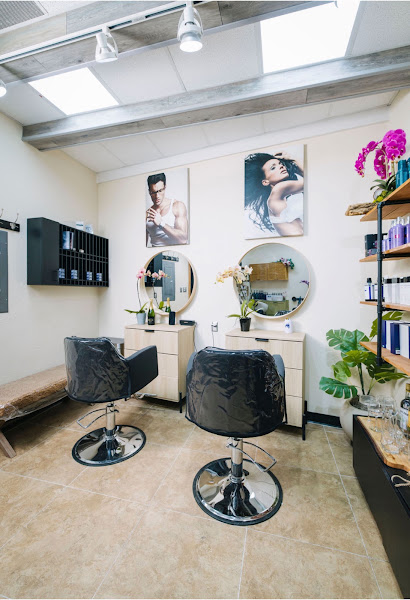 Vu Cheveux Studio 4