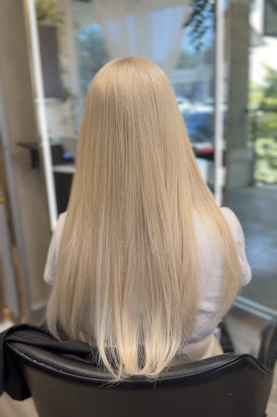 Shear Sugar Hair Salon & Extensions 3