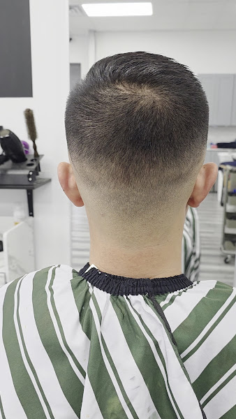 Michael Salon 2