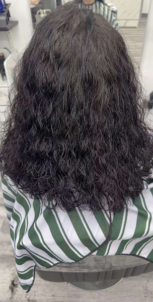 Michael Salon 3