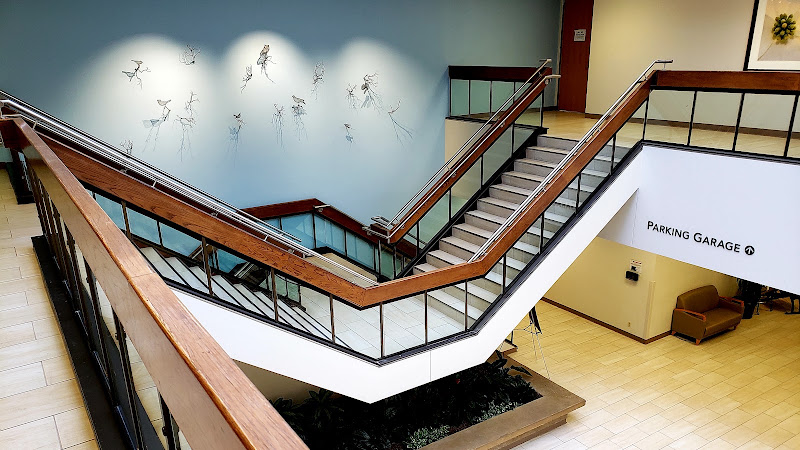 Professional Office Building 2 (POB2) - UT Southwestern 5