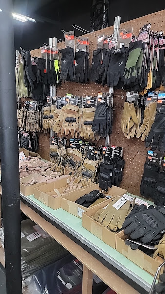 THE ARMY STORE, INC. 3