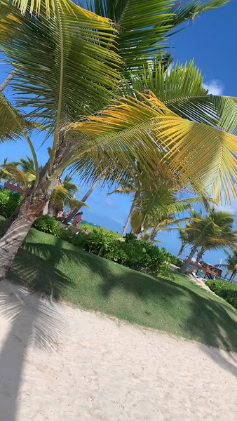 Travel's The Vibe Travel Agency 3