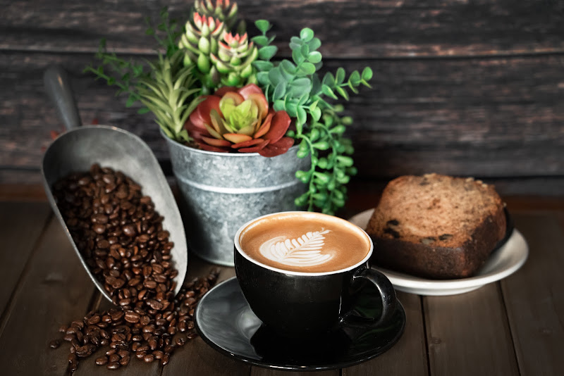 Dog Day Coffee 4