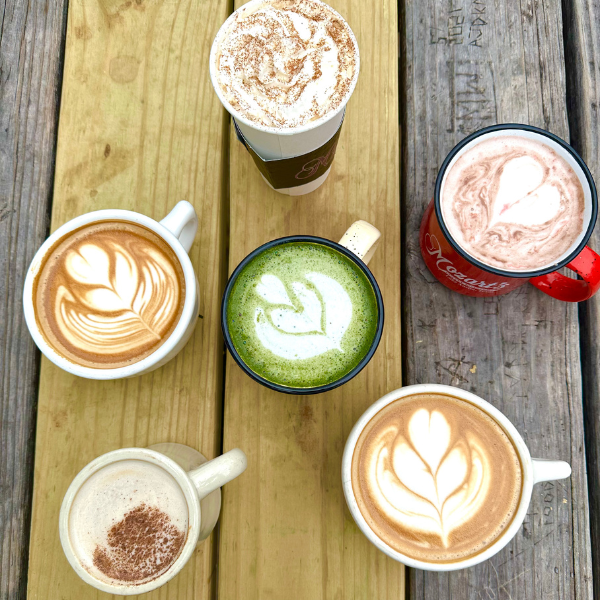 Mozart's Coffee Roasters 4