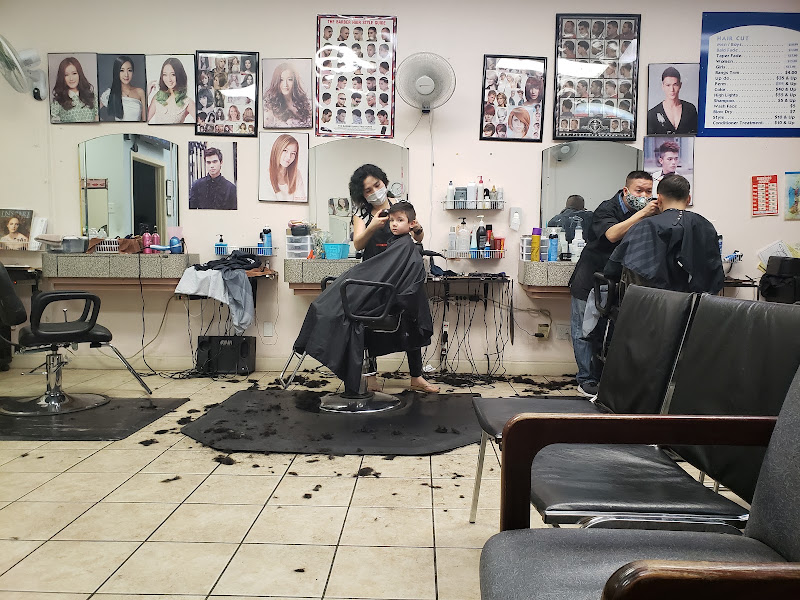 VN salon