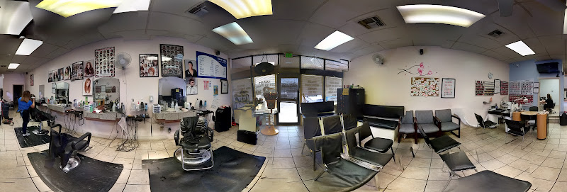 VN salon 4