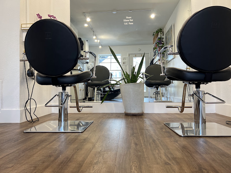 N Salon 2