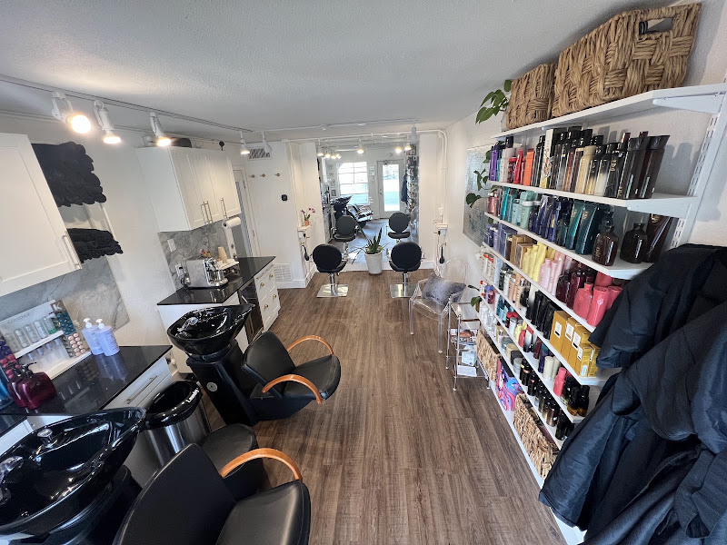 N Salon 3