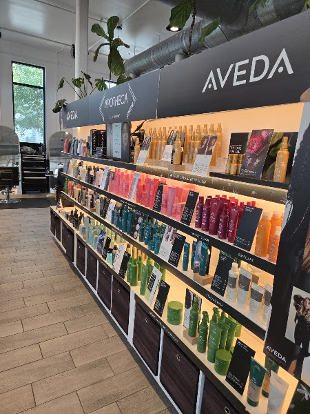 Apotheca Lux Salon 3