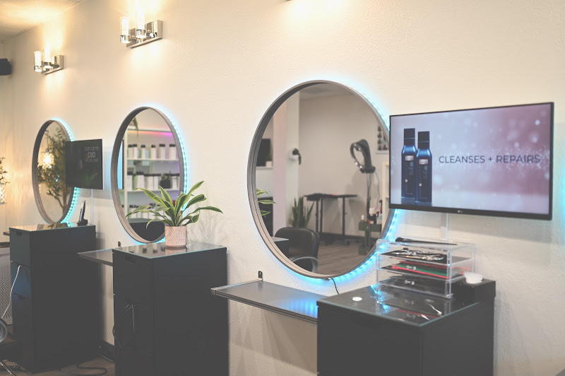Detammy The Salon 3