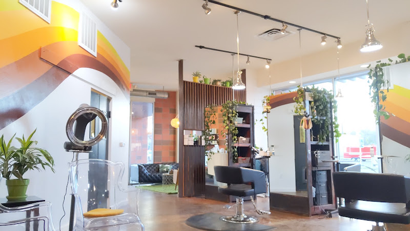 Shag Salon 2