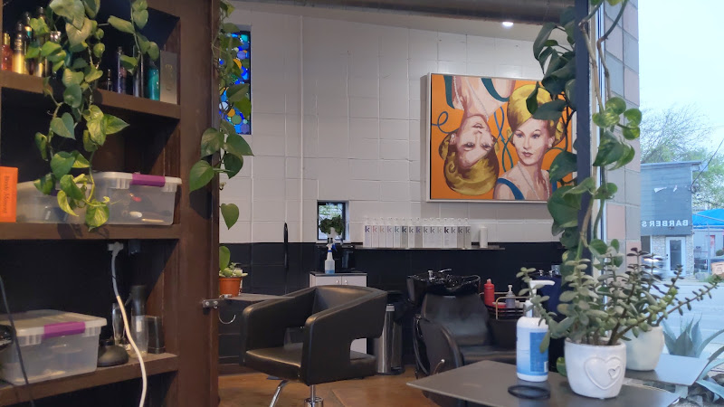 Shag Salon 3