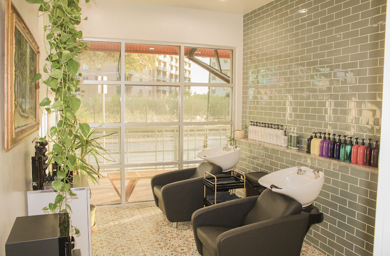 Shag Salon 4
