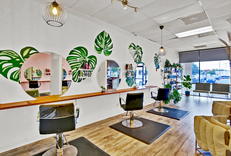 Salon Vibe 3