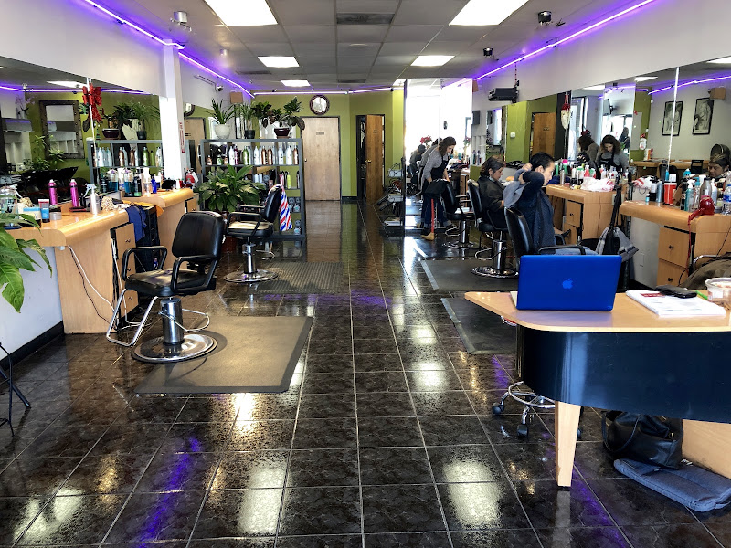 Studio Cuts 2