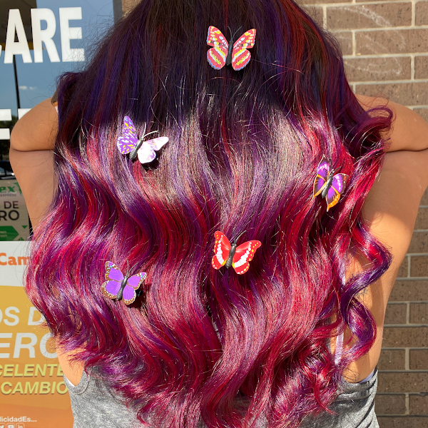 Aly's Hair Salon 2
