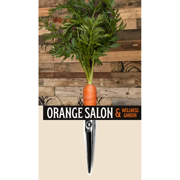 Orange Salon 2