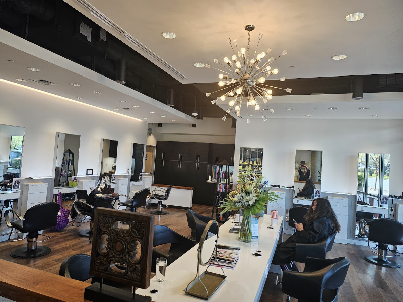 Maximum FX Salon 2