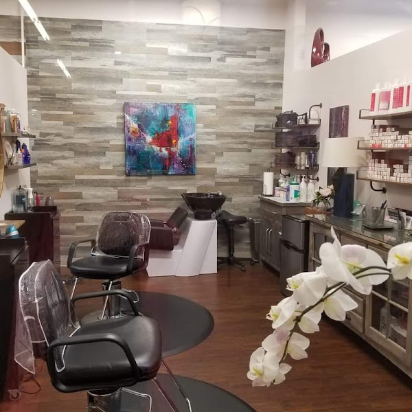 Gallery of Salons 5