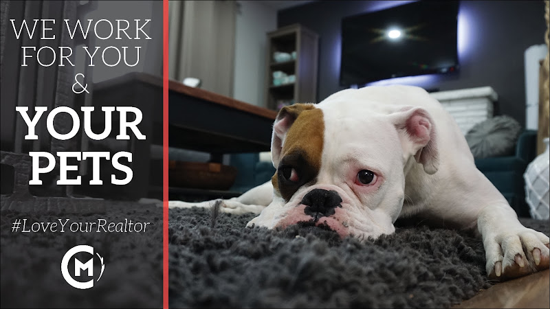 Central Metro Realty | 100% Commission Texas Real Estate Brokerage 3
