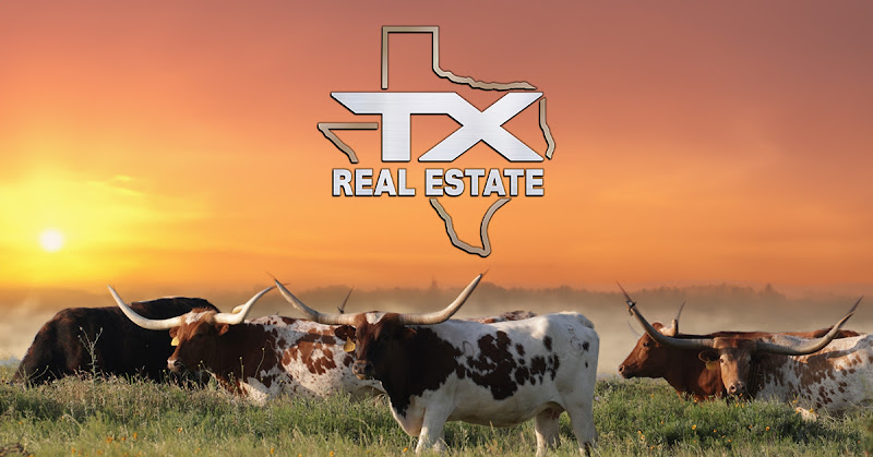 TX Real Estate 2
