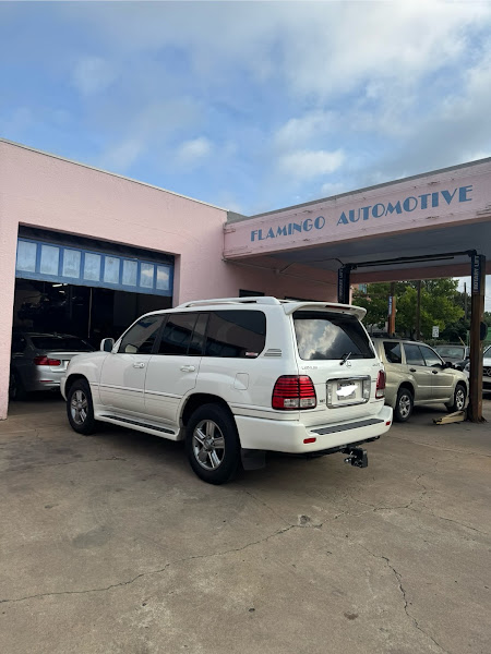 Flamingo Automotive 5