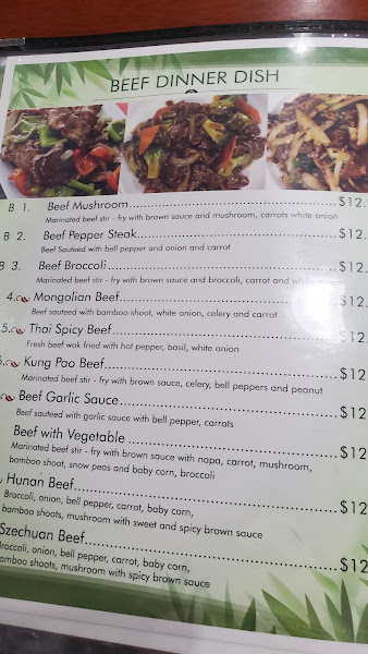Pho Garden Vietnamese & Chinese Cuisine 4