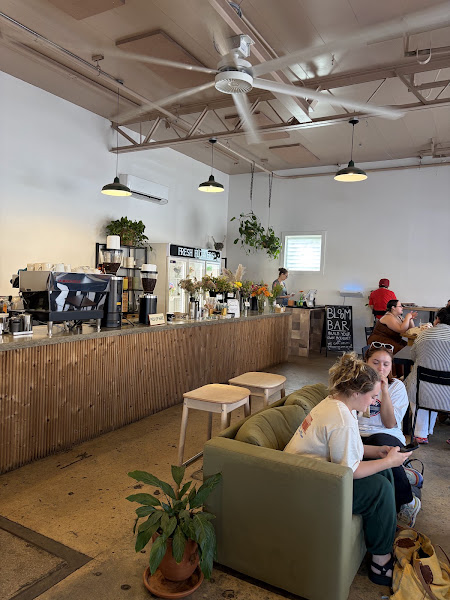 The Honey Bean Coffee & Tea Co. 3