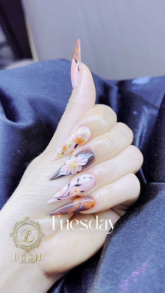 Lush Nails and Spa San Antonio 5