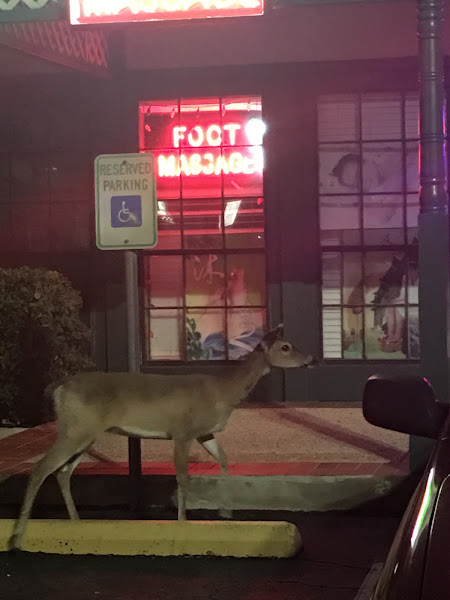 GG Foot Spa 4