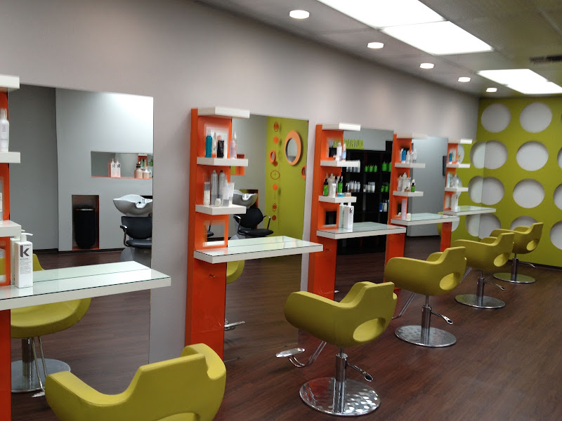 Shag The Salon 2