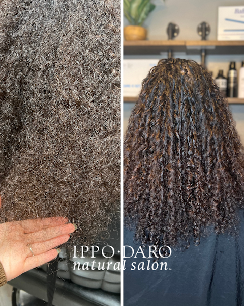 Ippodaro Natural Salon 3