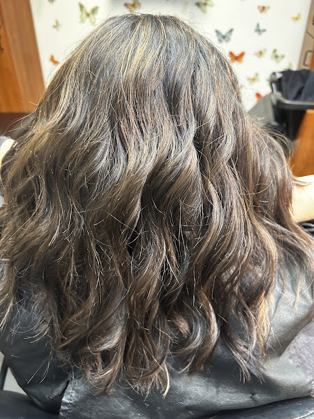 Modish Salon Professional LLC