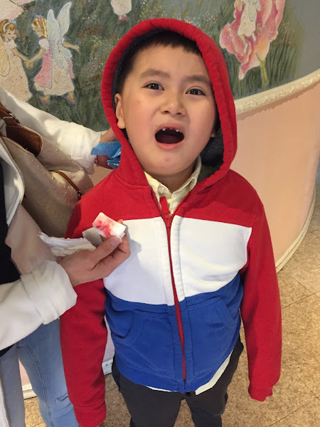 Family Fun Dental - Nguyen Lan Huong Olivia DDS, APC 3